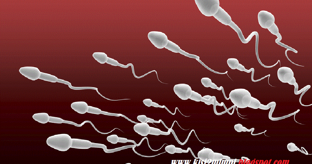 MIMPI AIR M4NI (Menurut Tafsir Islam) KUMPULAN ARTI MIMPI