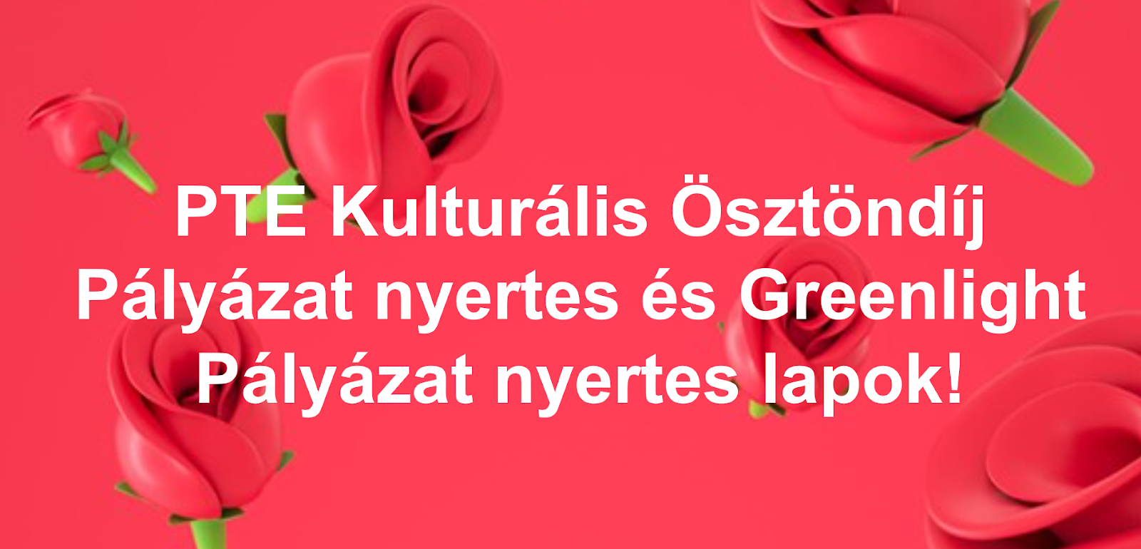 Pályázatnyertes