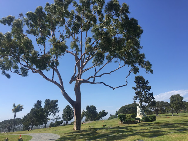 Holy Cross Cemetery in Culver City