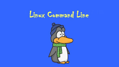 How to find large files with size in Linux? find and du command example