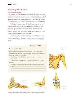 Apoyo Primaria Ciencias Naturales 3er grado Bloque I Tema 1 Movimientos del cuerpo y prevención de lesiones