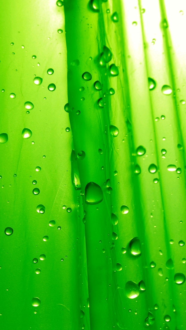 Best HD Green Wallpapers for iPhone 5