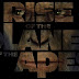 Weekly Topten movies at the Box office - Rise of the planet of the apes tops