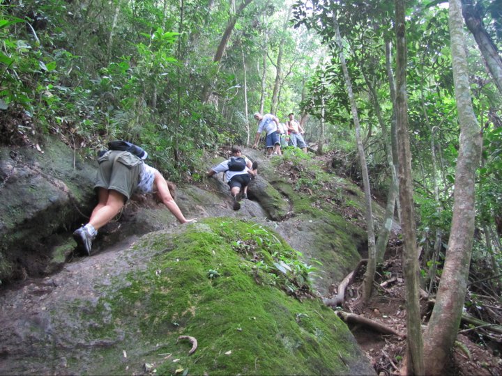 Resultado de imagem para corcovado trilha