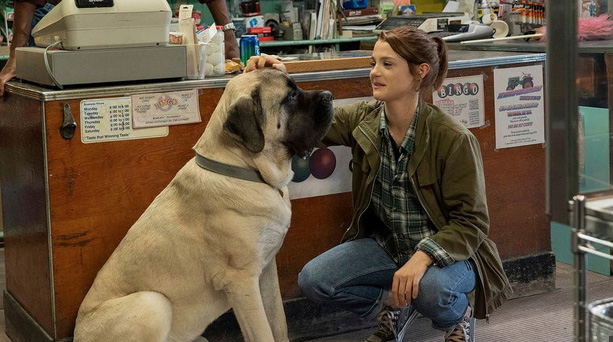 Hot a dog's journey on amazon prime Hotsell