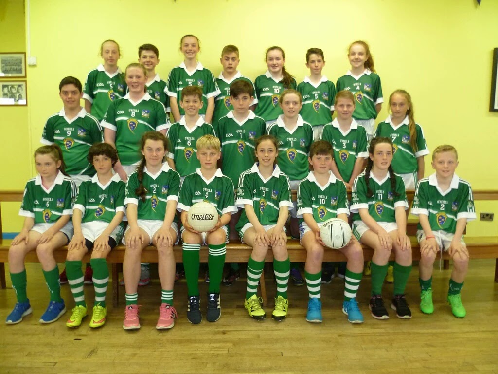 Oola GAA Club Limerick Primary Game