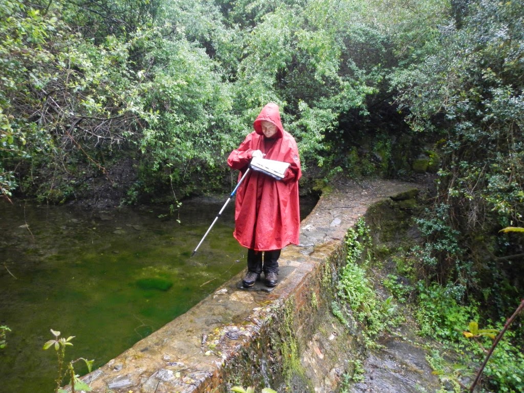 Presa de la Font del Bon Pastor