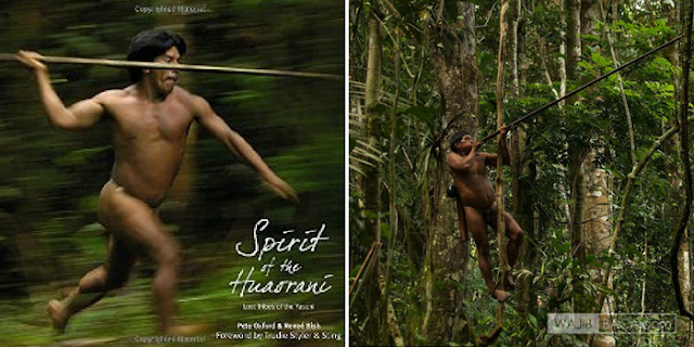Huaoroni - Suku Primitif Amazon yang Ahli Berburu hingga Kaki Berevolusi