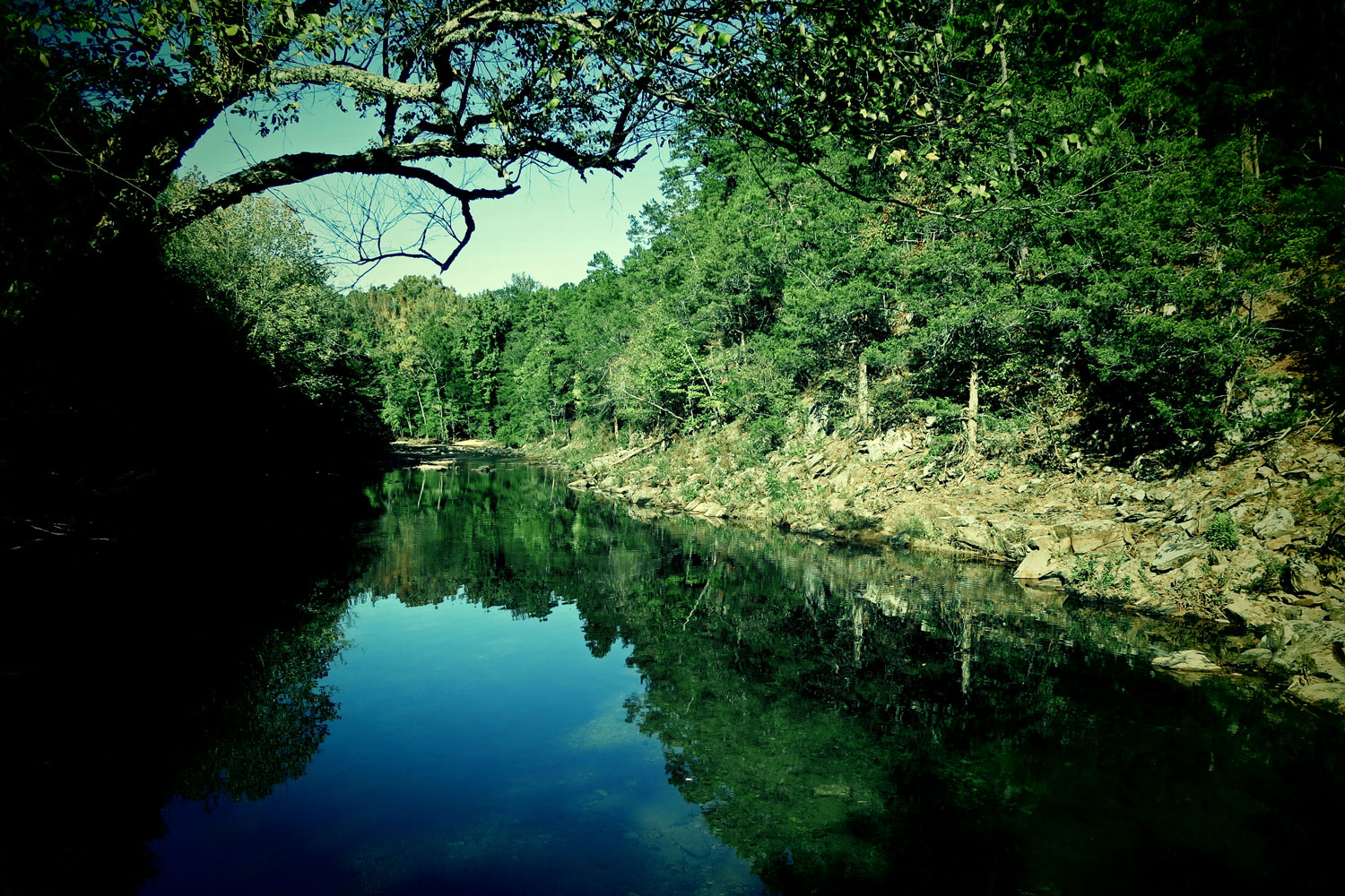 An Arkies Musings Caney Creek Wilderness Area