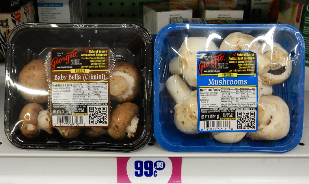 The 99 Cent Chef Portabella Mushroom, String Cheese & Herb Omelet