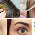 With This Oil Your Hair, Eyelashes And Eyebrows Grows Rapidly!