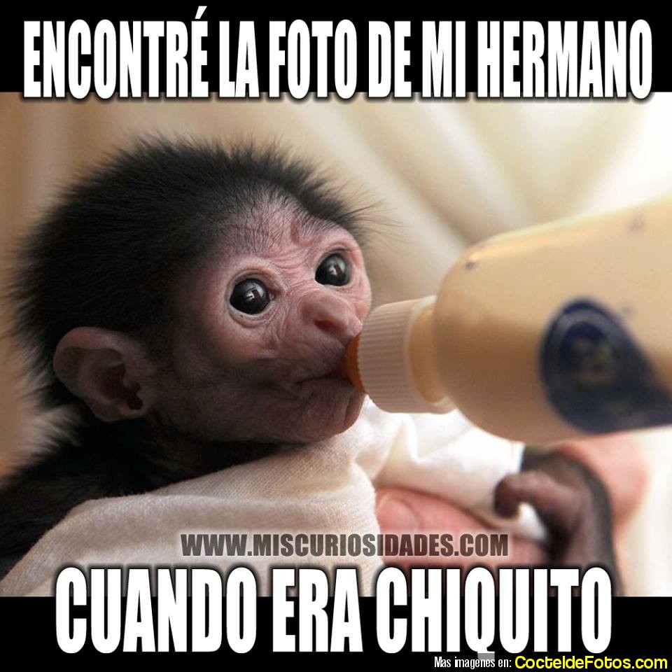 Memes,Imagenes con frases graciosas, Chistosas, Divertidas Imágenes