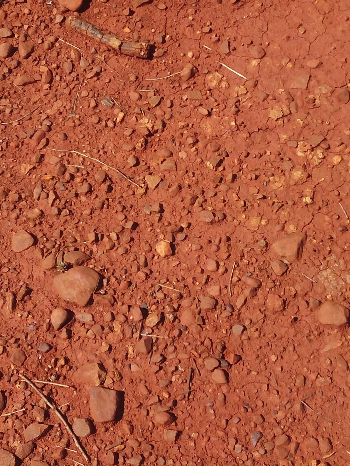 GEOLOGÍAS DE EXTREMADURA: Apatrullando Cáceres: la raña de la Sierrilla