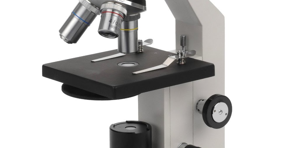 Microscope World Blog: Human Cheek Cells Microscope ...