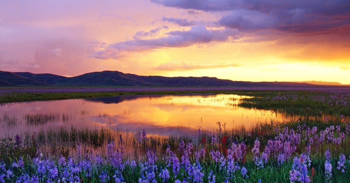 Laptop Review Desktop Background Hp (8)