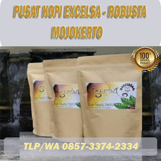 kopi excelsa mojokerto