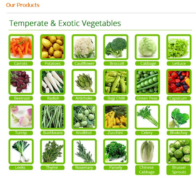 Fresh Exotic Vegetables (CHINESE VEGETABLE)