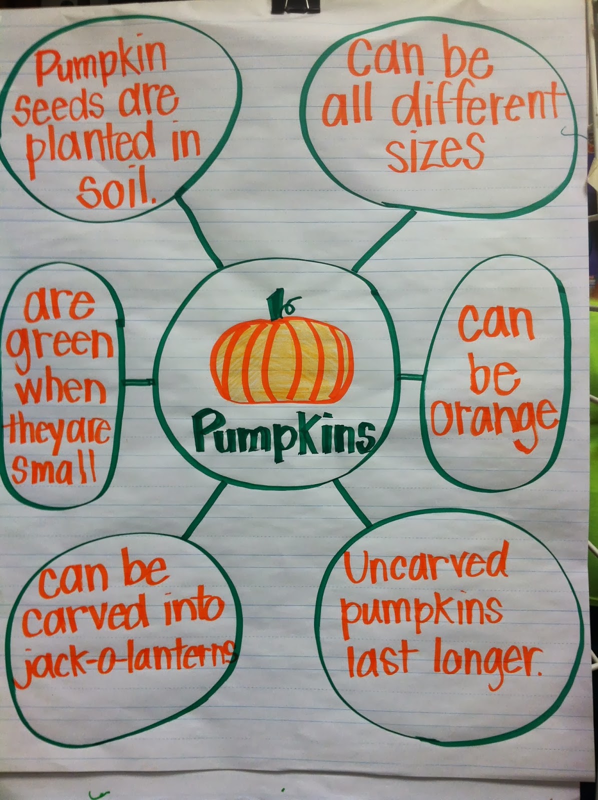 Pumpkin Life Cycle Anchor Chart
