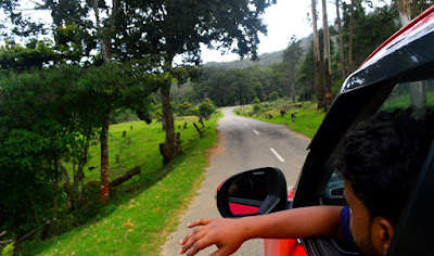 Pampadum Shola National Park Pampadum Shola National Park