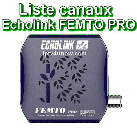 TÉLÉCHARGER FLASH ECHOLINK FEMTO PRO 2 FEMTO TÉLÉCHARGER FLASH PRO 2 ECHOLINK
