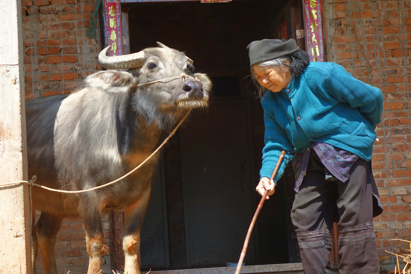 YUANYANG à ne pas rater - passionnasie YUANYANG à ne pas rater - passionnasie