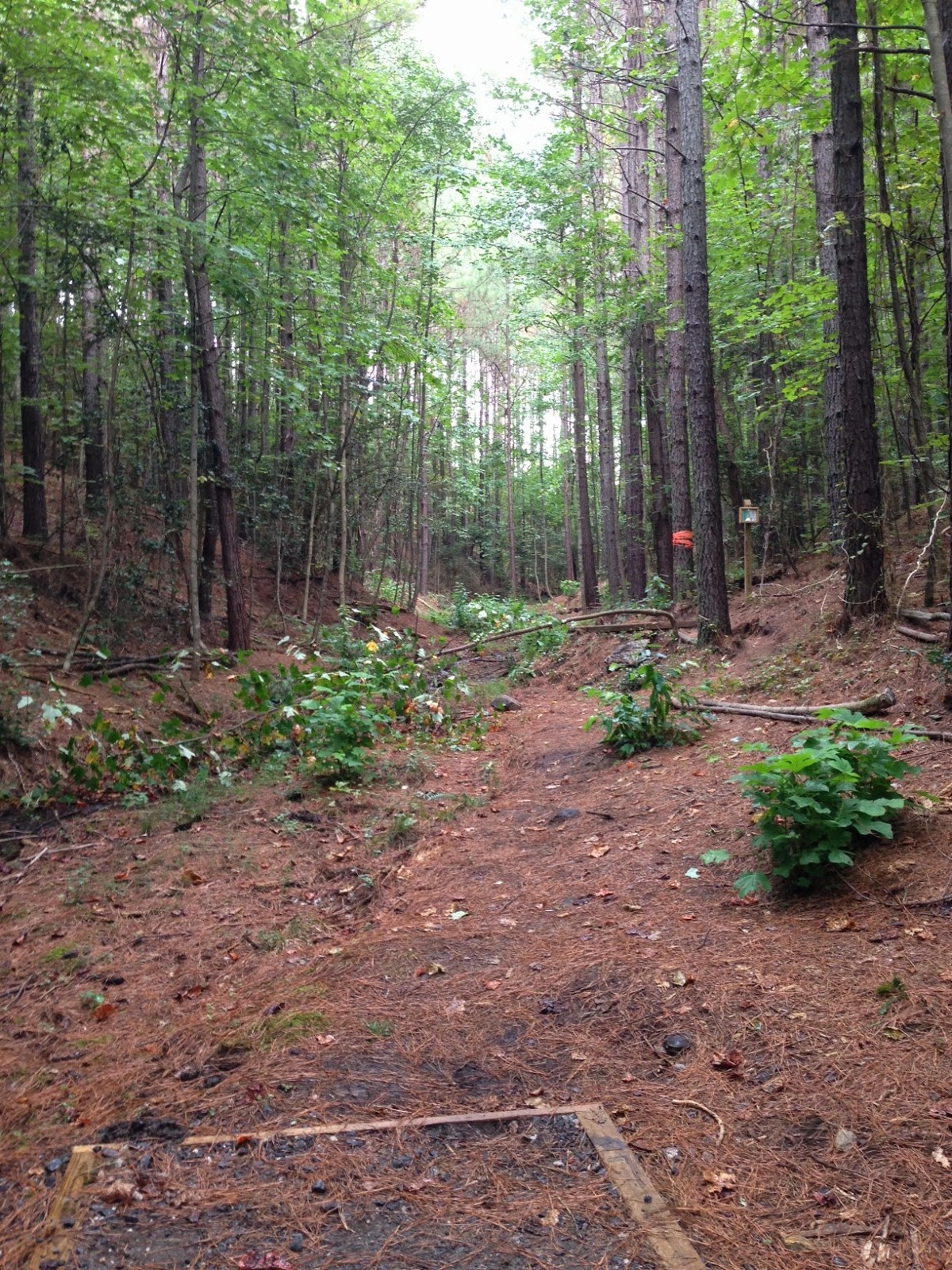 You Care What We Think Sawmills Veterans Park Disc Golf Course