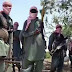 Boko Haram Attack Leaves Eight Dead In Borno