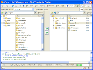 PixelG: Cliente FTP FireFTP