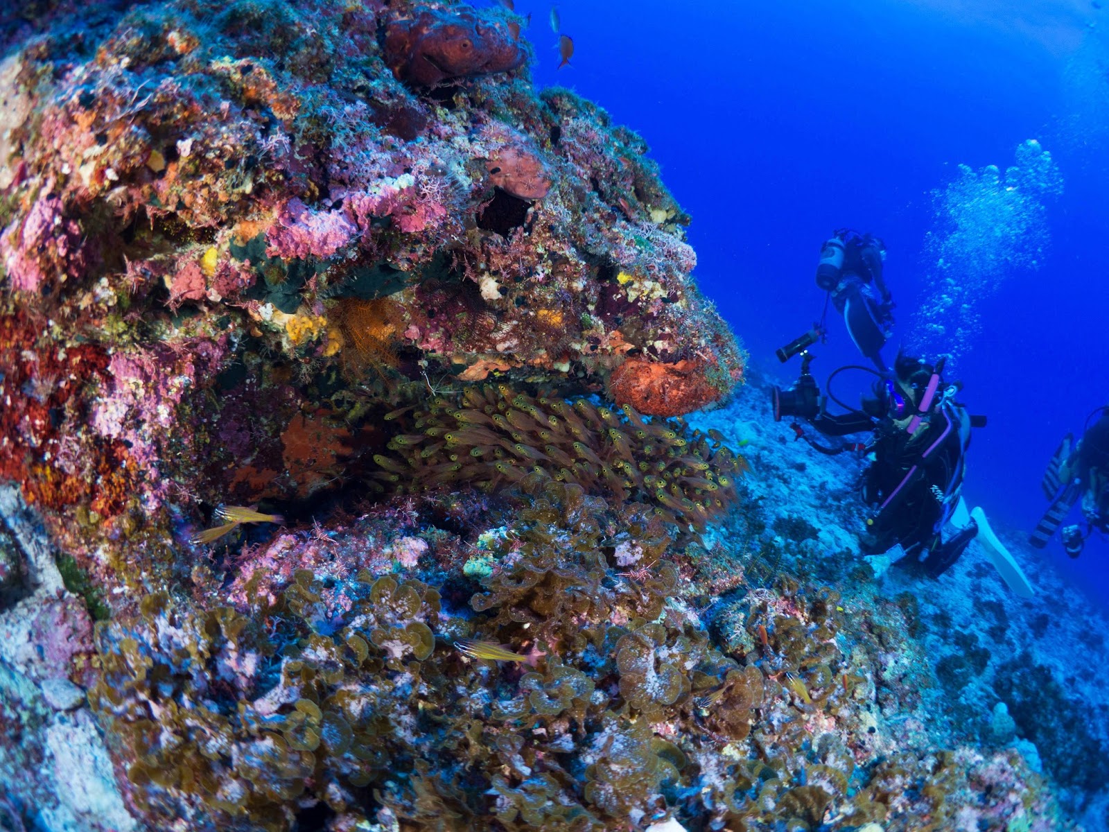 スペインで最も重要な岬 - フォルメントール岬