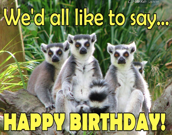 happy birthday meme happy birthday meme