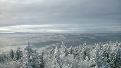 widok z wieży na Kalenicy