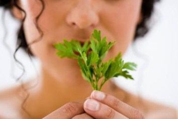 Manfaat Daun Seledri Untuk Perawatan Rambut Dan Duduk Perkara Kulit