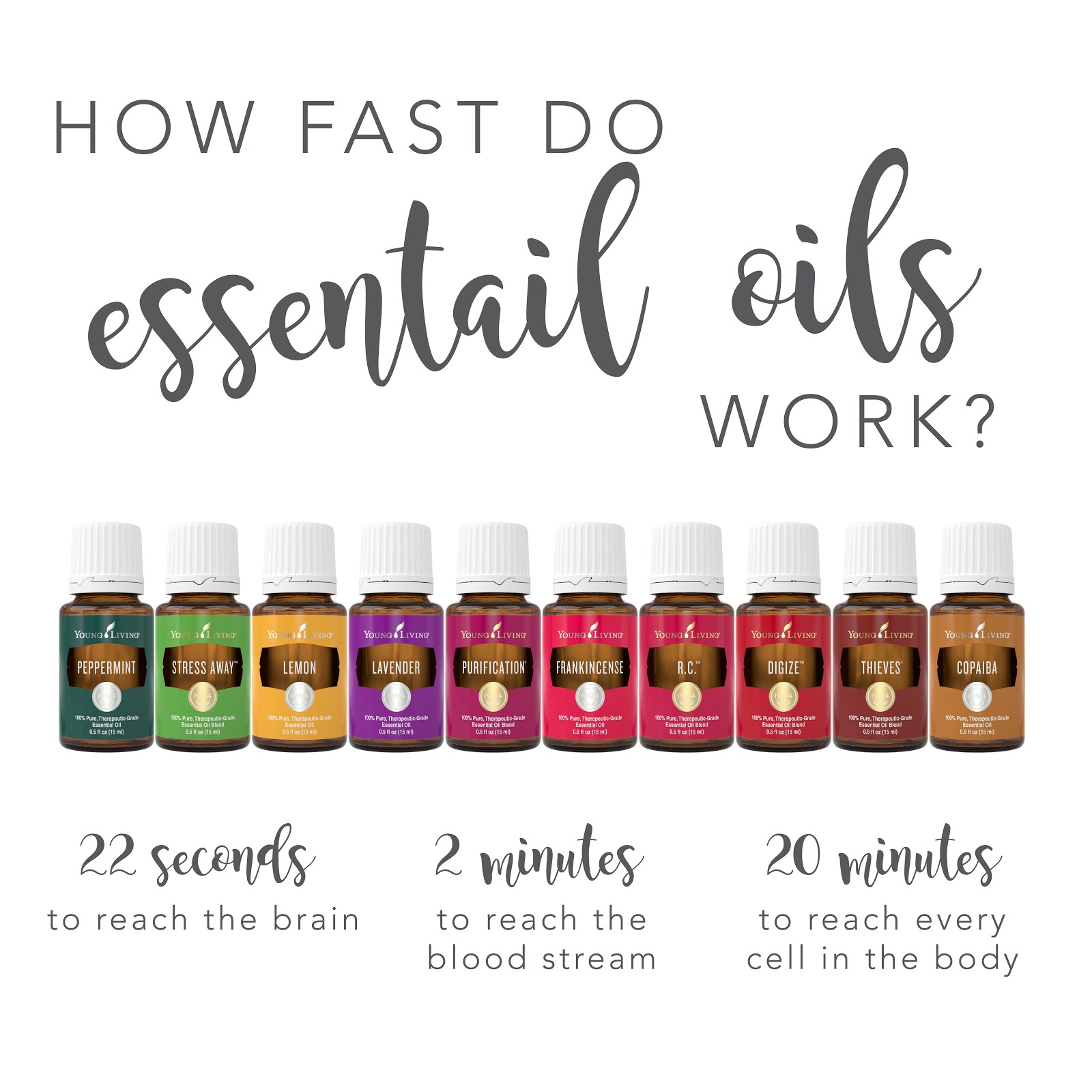 Boyd How fast do Essential Oils work?
