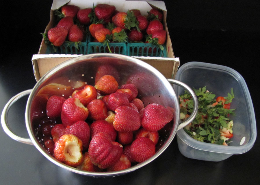 Smells Like Food in Here Strawberries