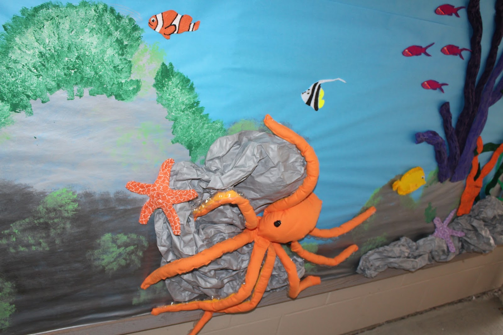 School Bulletin Boards Underwater Tropical Ocean Scuba Diver School