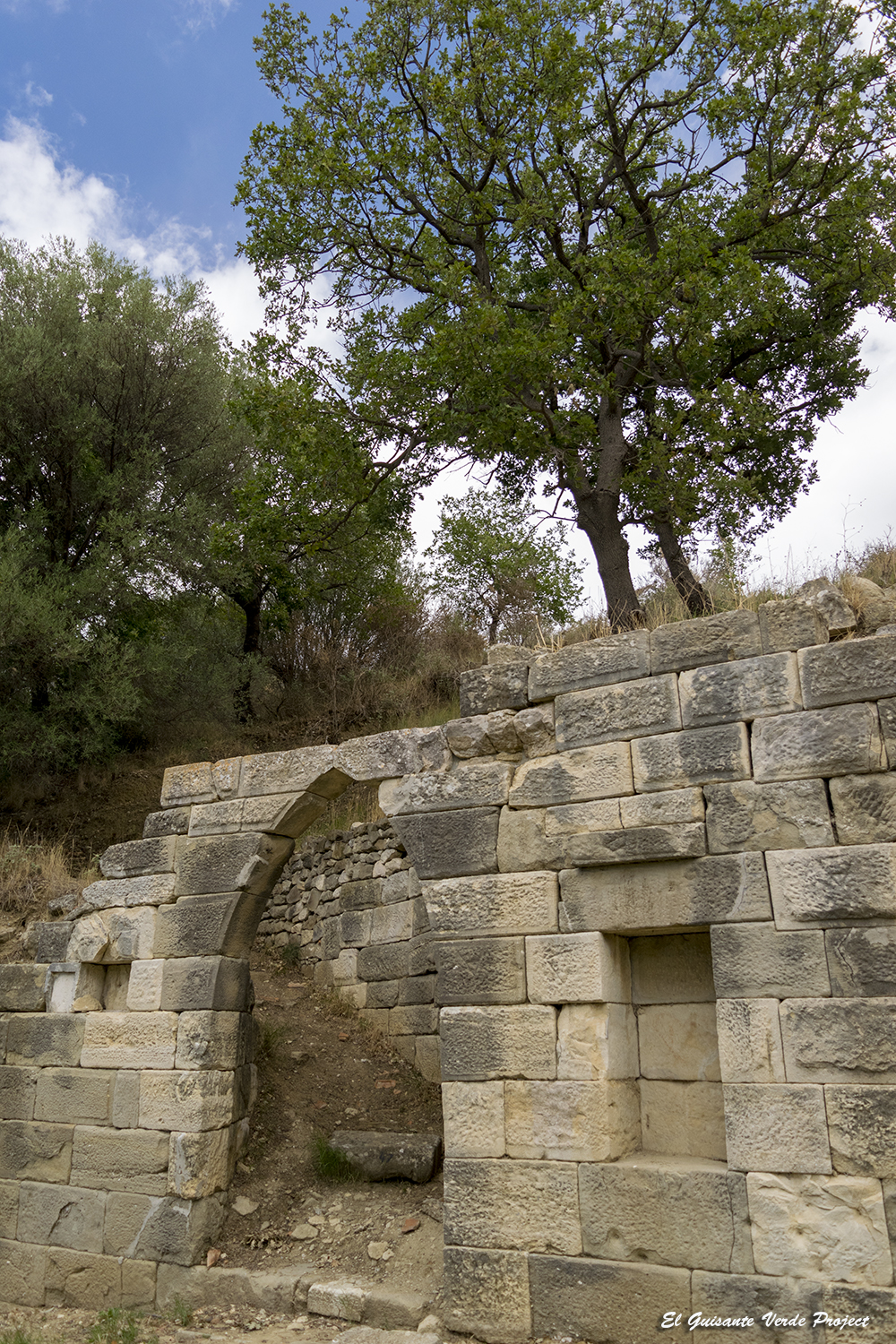 Apolonia La Piedra Archivos Periodico Novedades