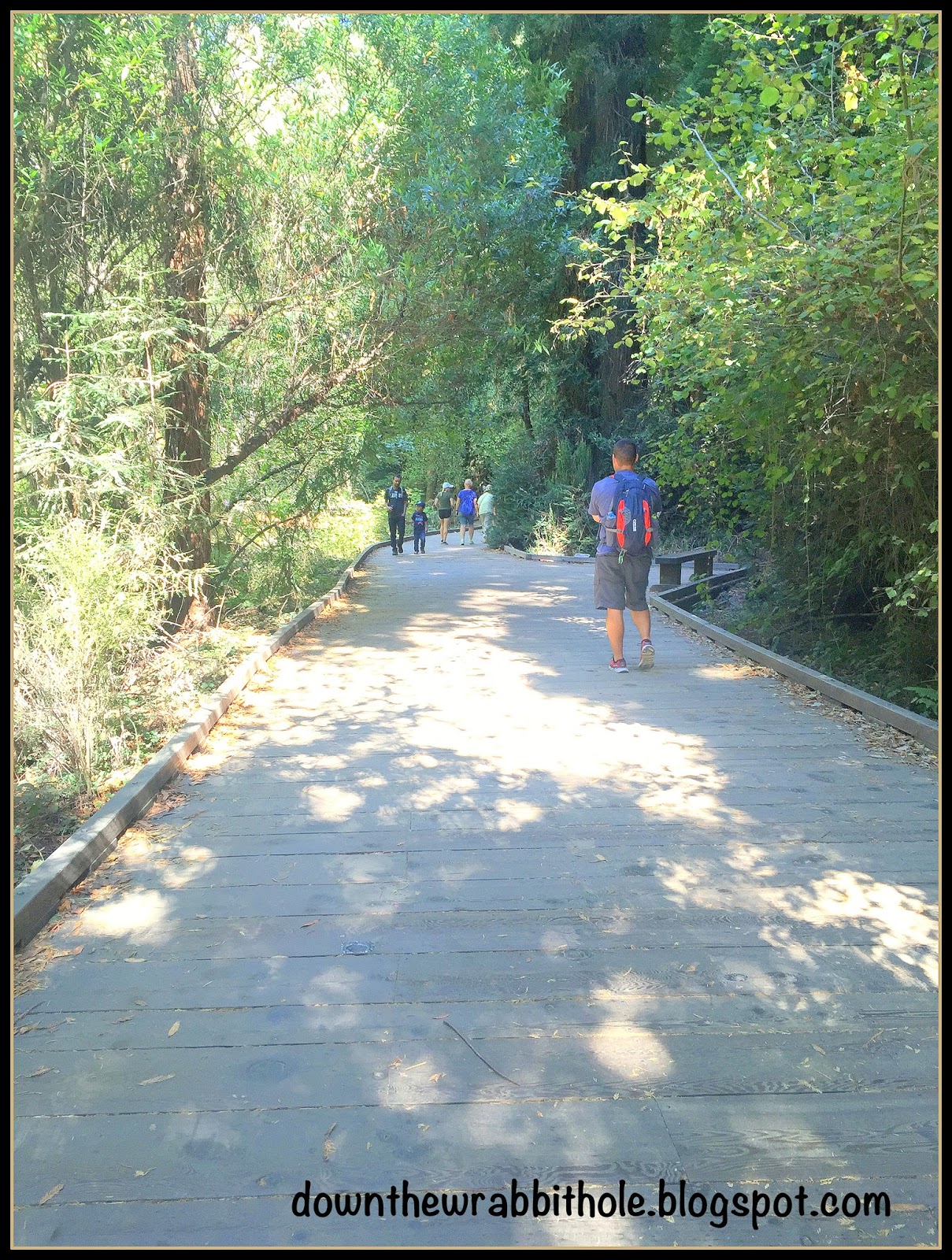 Down the Wrabbit Hole The Travel Bucket List The Beauty of