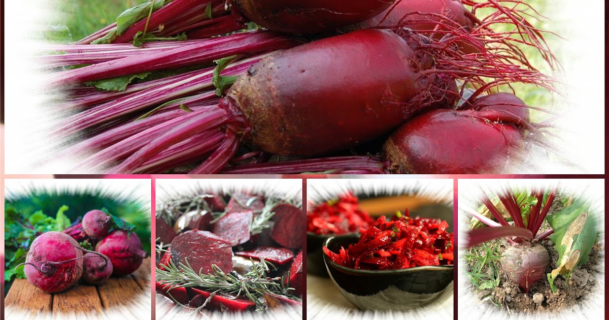 Vorratshaltung, Garten, Kochen, Rezepte, Gesundheit, Dekoideen ...
