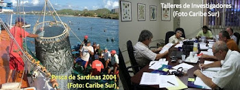 Informe Ley de Pesca Venezuela 2008