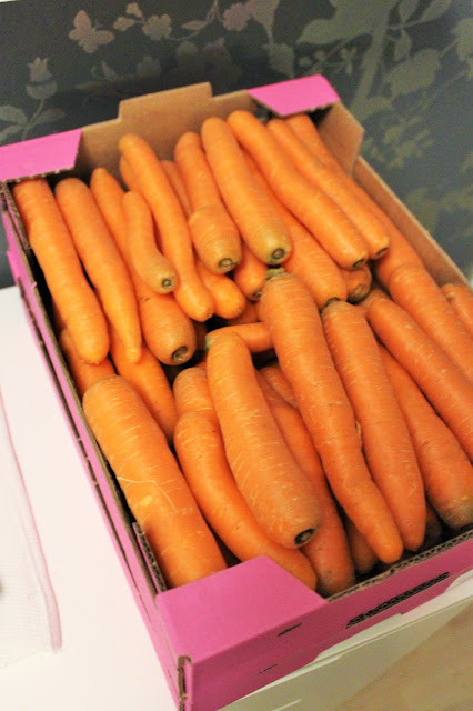 kuusiston porkkanat
