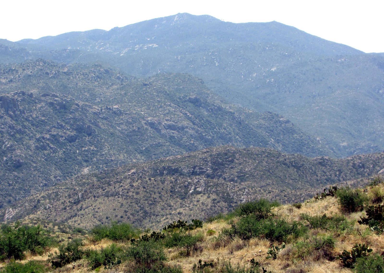 Mysterious Bradshaw Ranch