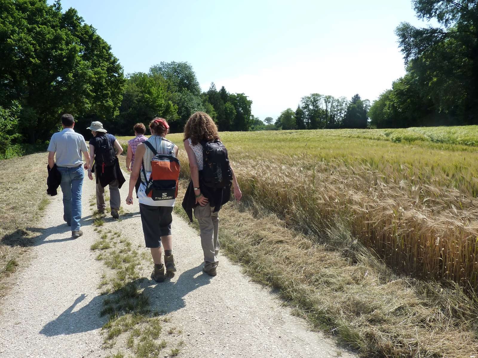 randonnee pedestre yonne 2015