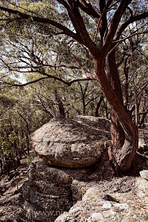 Landscape photography Australian countryside Rylstone Landscape photography Australian countryside Rylstone