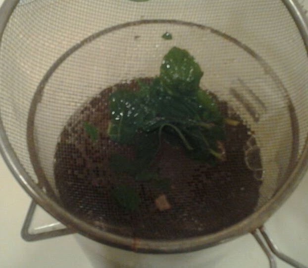 The Only Minted Tea That Stops You in Your Tracks Every Time