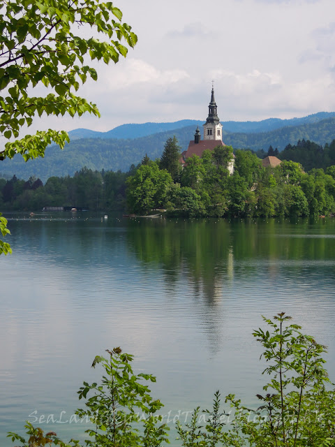 斯洛文尼亞, 碧湖, Lake Bled