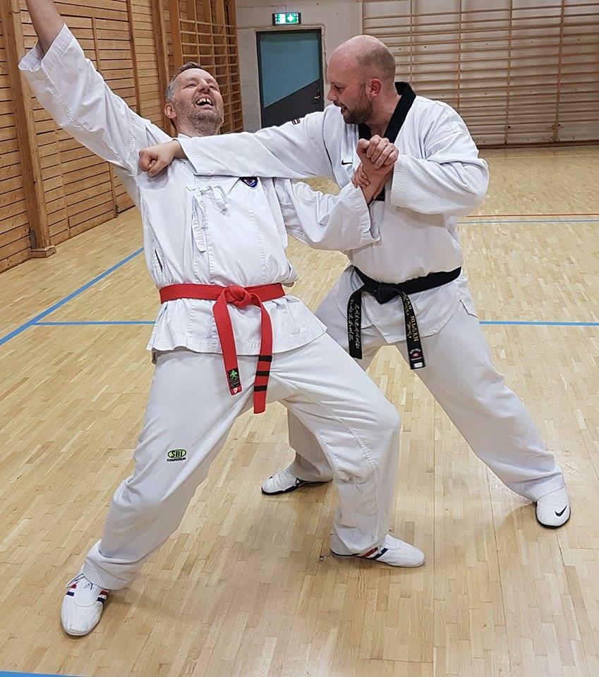 Traditional Taekwondo Ramblings Self defense applications from Taegeuk