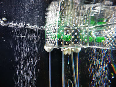 自作排水アクセサリ本設置