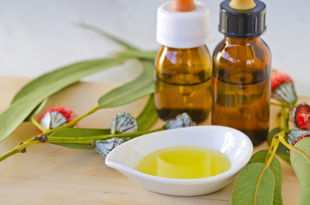 Resep Obat Sakit Gigi Alami, Minyak Cengkih hingga Daun Jambu Biji ! Begini Caranya Resep Obat Sakit Gigi Alami, Minyak Cengkih hingga Daun Jambu Biji ! Begini Caranya
