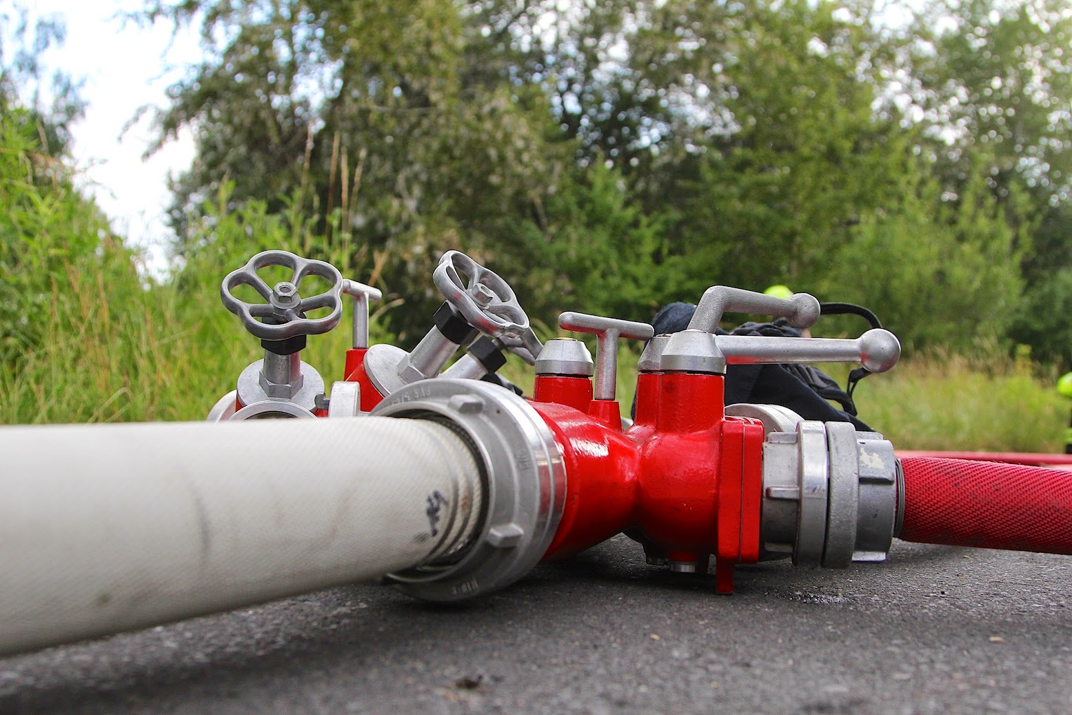 Bernau LIVE - Dein Stadtmagazin für Bernau bei Berlin