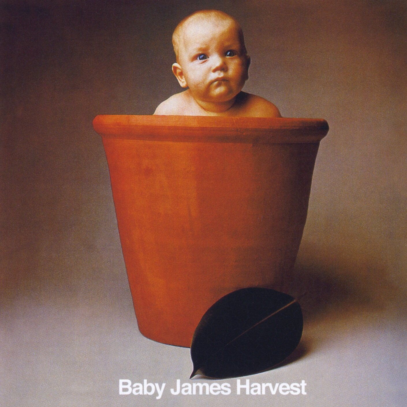 Goo Goo G'Joob: Crazy (over you) (Barclay James Harvest) (LP 215)